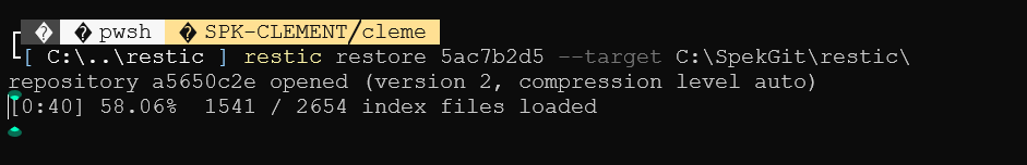 Restauration en cours :  avec une progression "0:40 58.06% 1541 / 2654 index files loaded"