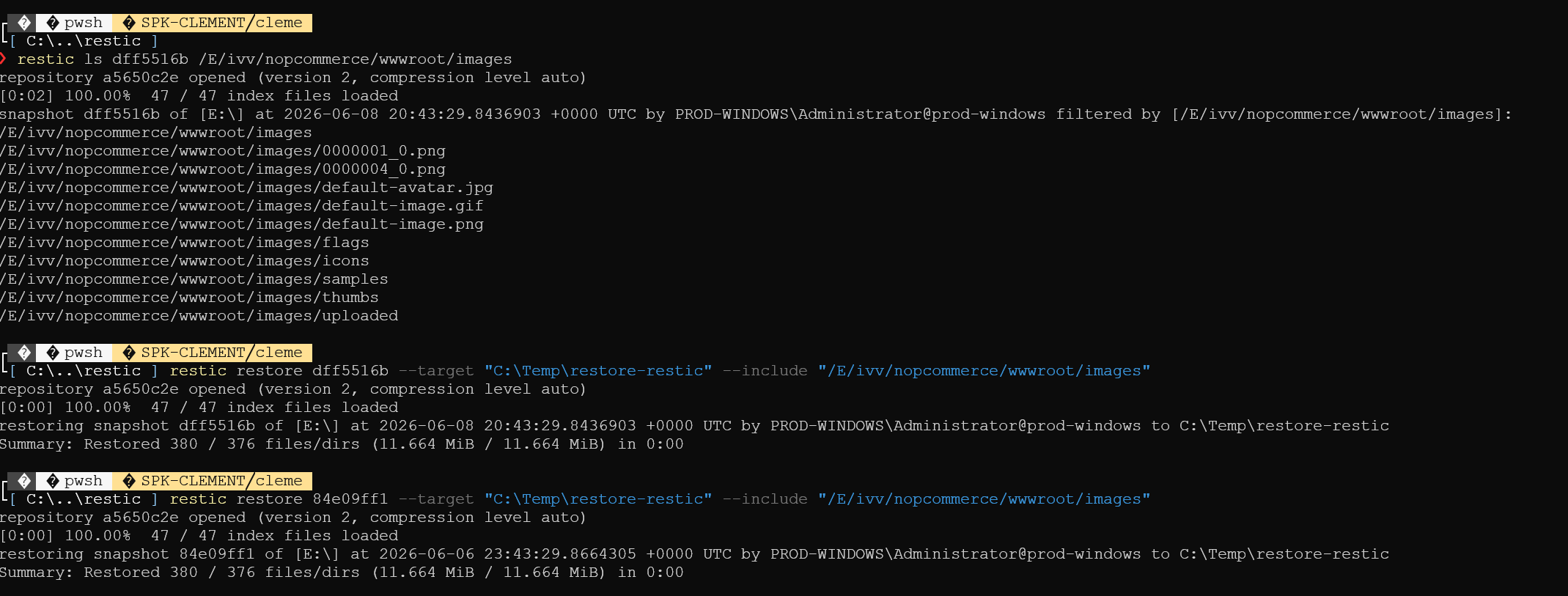 Restauration d'un sous-ensemble :  pour repérer le dossier, puis deux  sur des snapshots différents, chacun terminant par "Summary: Restored 380 / 376 files/dirs"